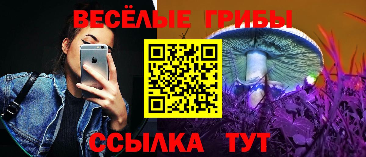 продажа наркотиков  Галлюциногенные грибы Cubensis  Галлюциногенные грибы мицелий  Вход с VPN  Лангепас 